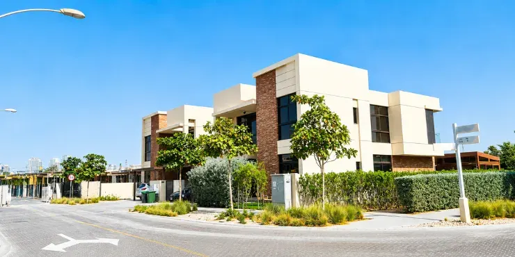 Topanga — 4