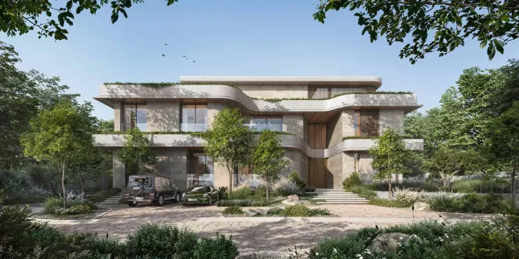 Moringa Mansions — 8