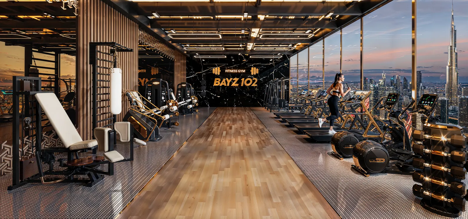 BAYZ102 — 3