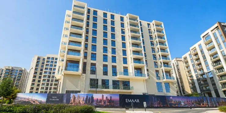 سافانا — 5