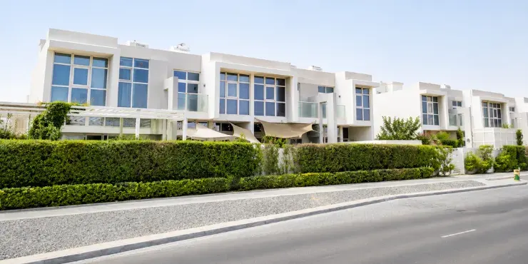 Damac Hills (2) - Mimosa