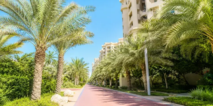 شورلاين أبارتمنتس — 5